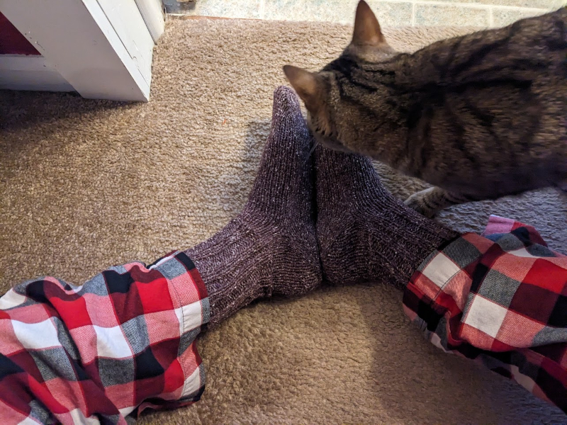 A picture of a cat sniffing the socks on my feet